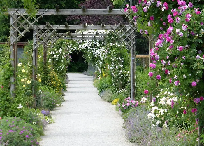 Germania Готель 3*